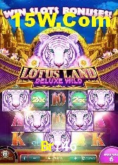 Casino VIP Br746